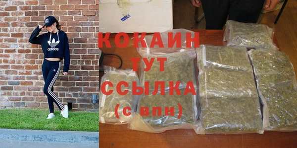 сатива Богородск