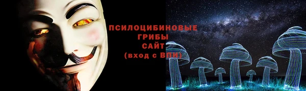 мдма Богданович