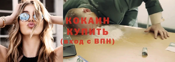 сатива Богородск