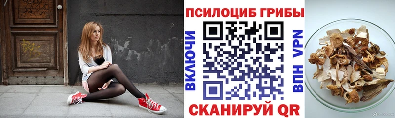 Галлюциногенные грибы Psilocybine cubensis  как найти наркотики  Армавир 